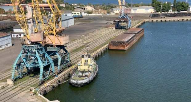 Перевалка в дунайських портах упала майже на 50%