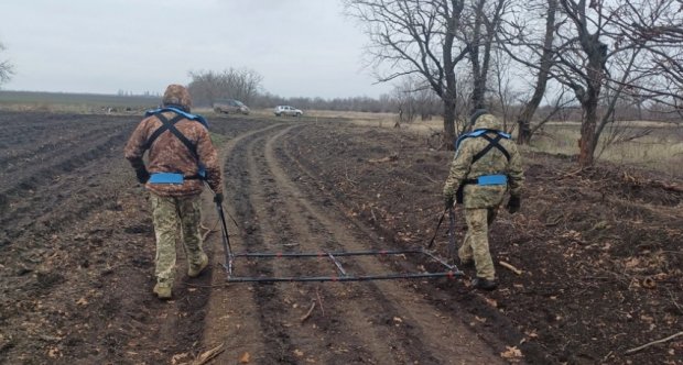 Стоимость разминирования агроземель в Украине составляет 1 трлн грн