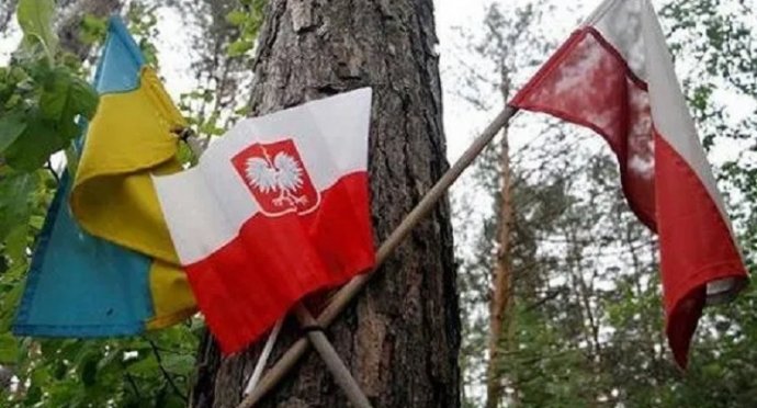Польща відновлює пошукові роботи: Ексгумації розпочнуться на Львівщині