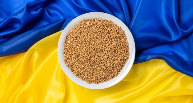 Україна експортувала 950 тис. тонн зерна