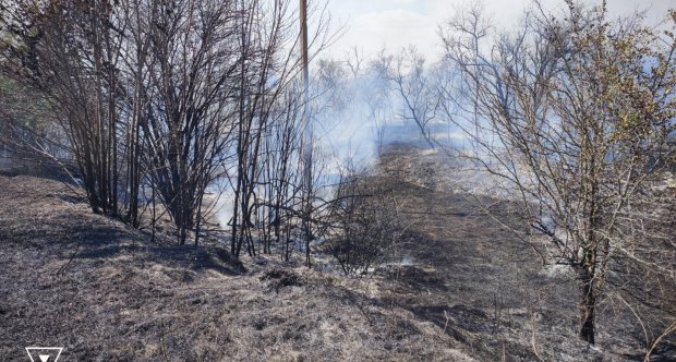 На Одещині горіли сухостій та сміття: двоє людей постраждали