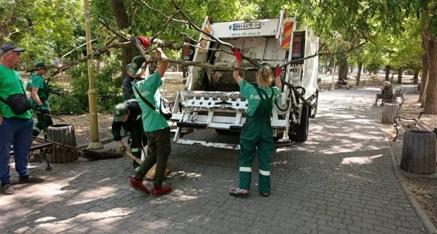 Шторм в Одесі повалив понад 70 дерев: комунальники оперативно ліквідували наслідки