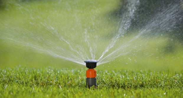 Дощувачі для поливу